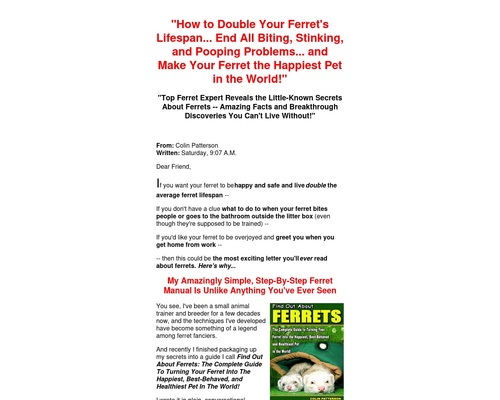 Find Out About Ferrets – By Small Animal Expert Colin Patterson