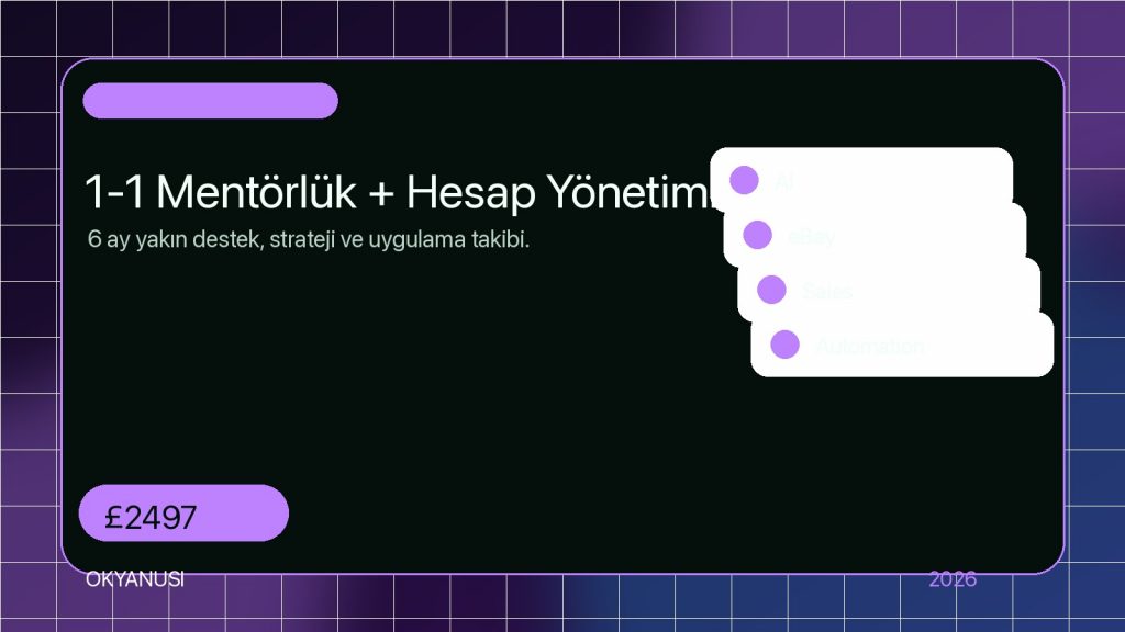 VIP Plus Mentörlük Kapak