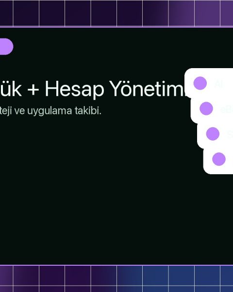 VIP Plus Mentörlük Kapak